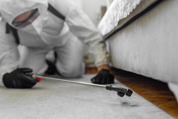 Professional Bed Bug Control technician working in St. Helens, OR
